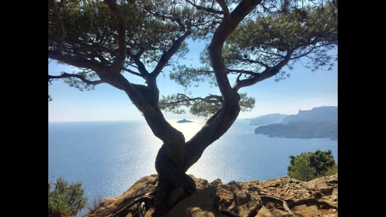 Appart Port Cassis Village Parking Exterior foto
